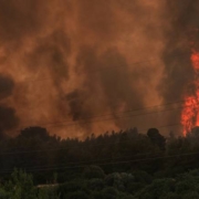 B2Green.gr_Perivallon_Wildfires